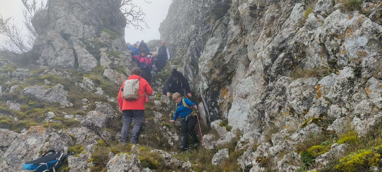 WhatsApp Image 2026-02-10 at 14.47.42 (7)